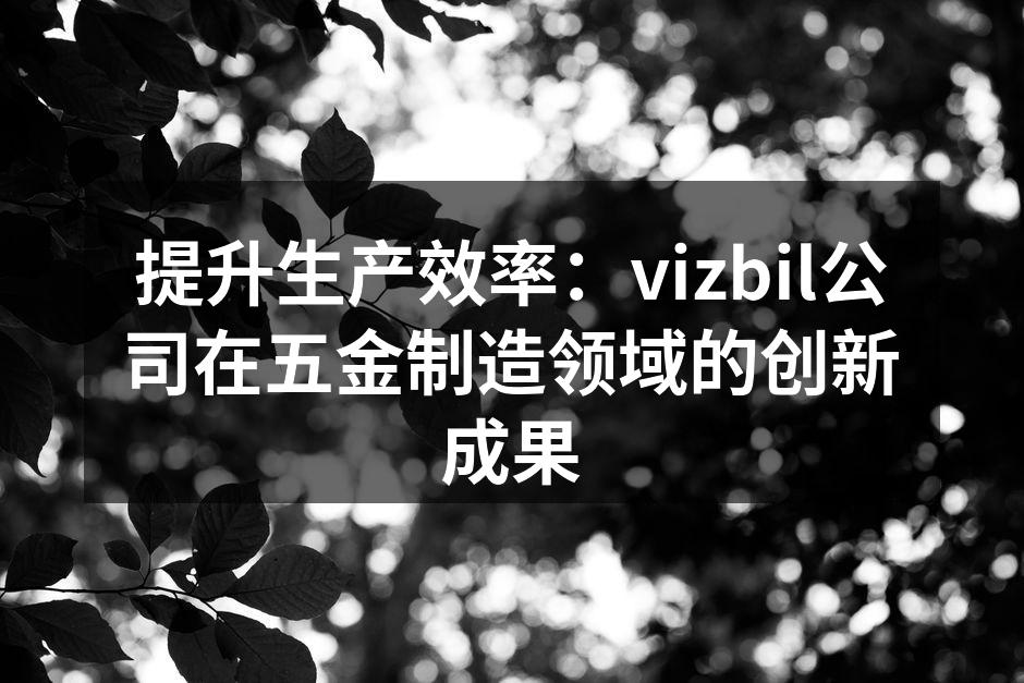 vizbil公司新设备的高效运作现场